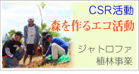 ジャストロファ植林事業