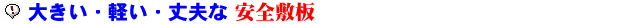 �傫���E�y���E��v�Ȉ��S�~�@�v���V�L